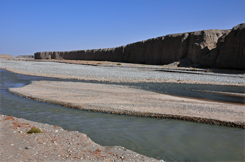 dsc_0989.jpg