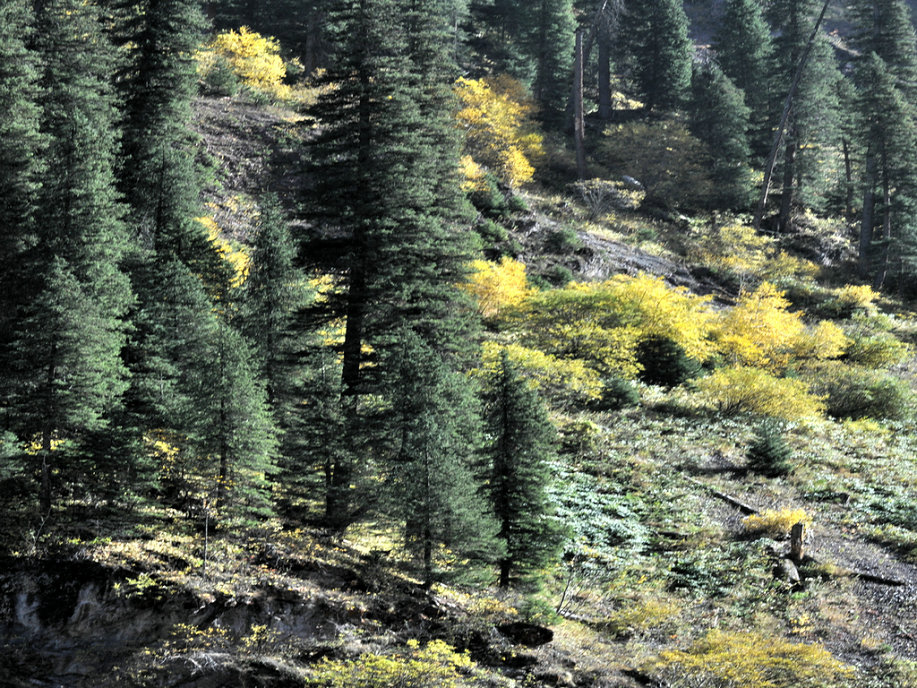 dsc_4462.jpg