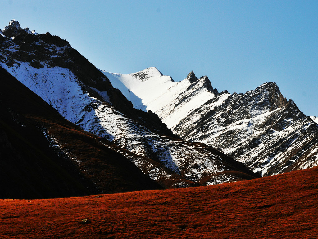 dsc_4561.jpg