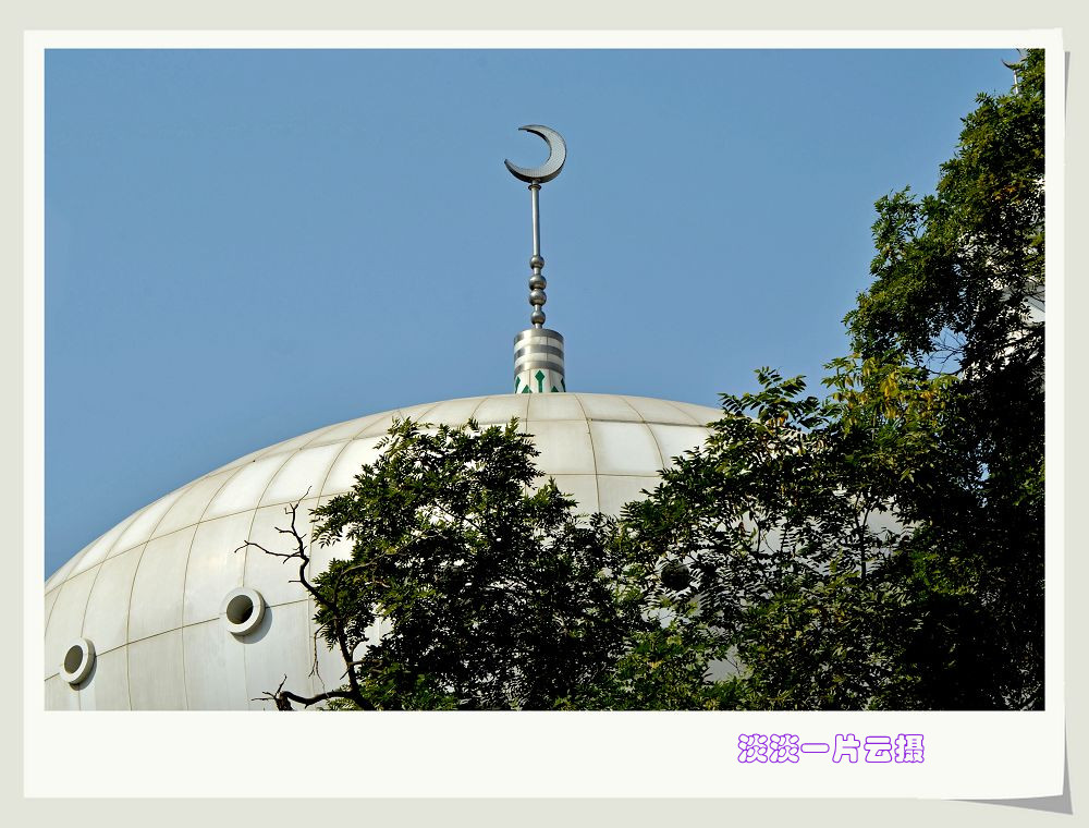 neo_img_dsc_7723_.jpg