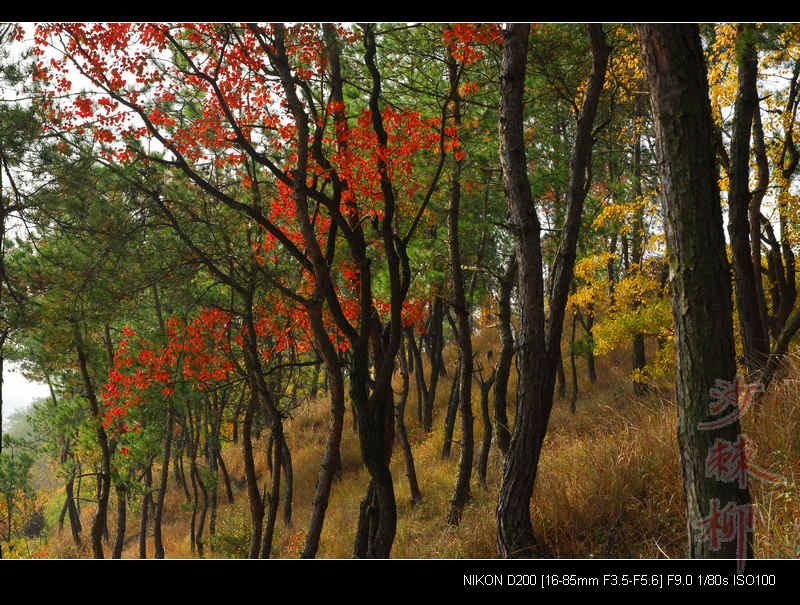 dsc_0027.jpg