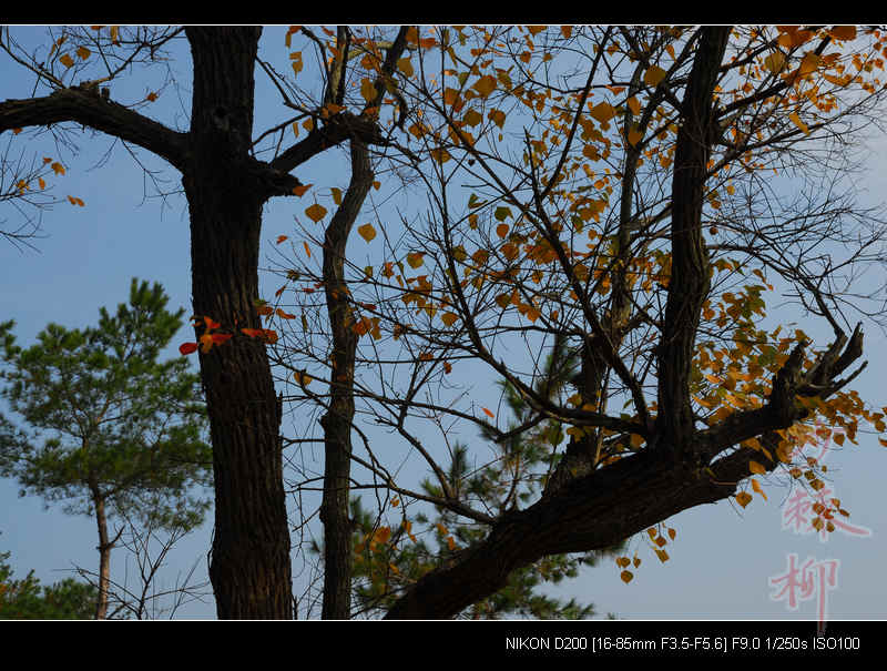 dsc_0022.jpg