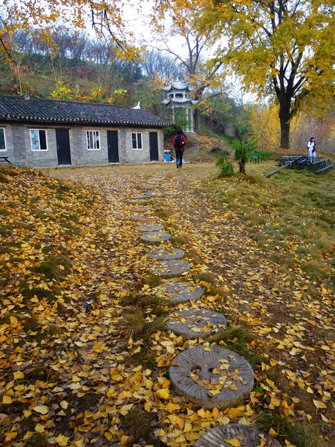 p1060798.jpg