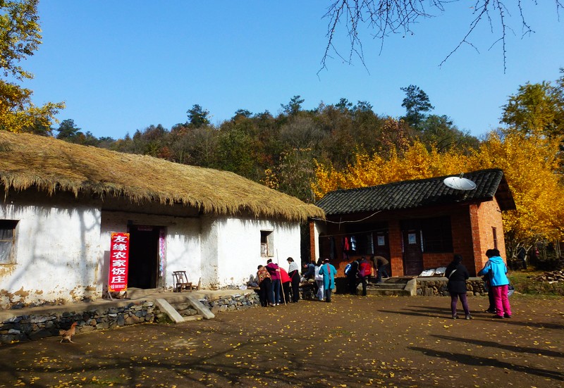 p1060874.jpg