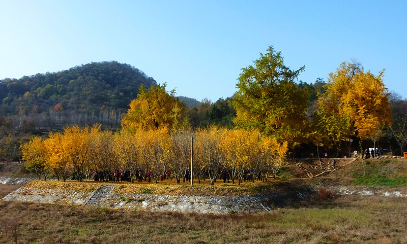 p1060880.jpg