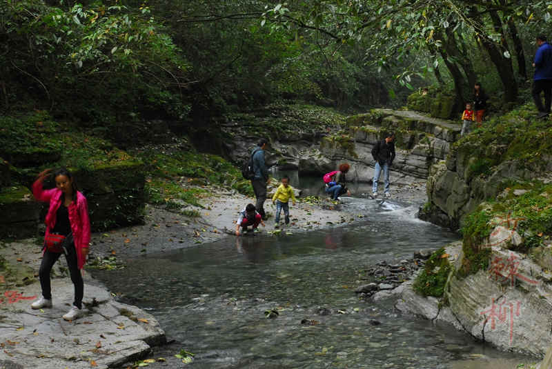 dsc_0137.jpg