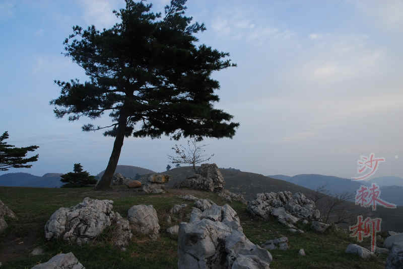 dsc_0214.jpg