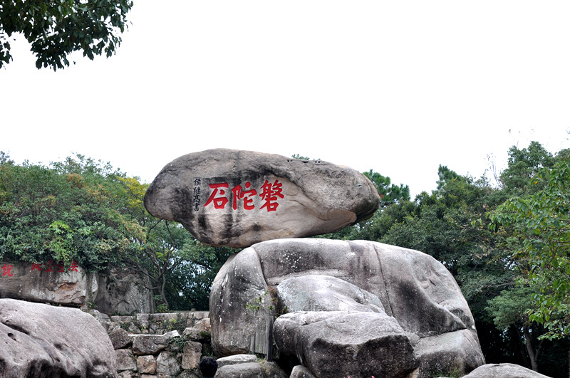 dsc_0169_.jpg