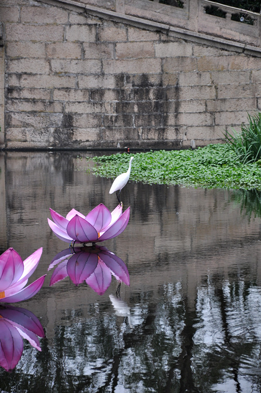 dsc_0596_.jpg