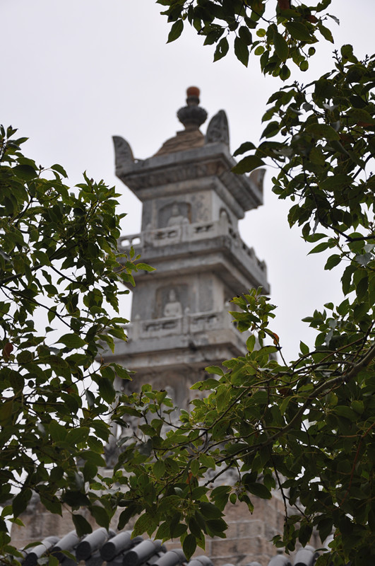 dsc_0643_.jpg