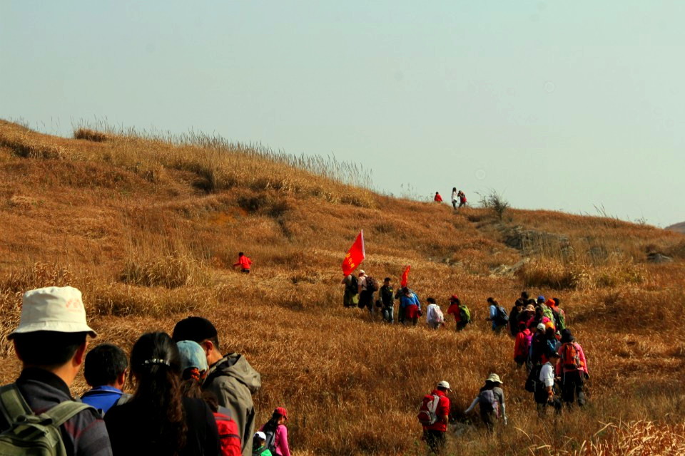 qqͼƬ20131118085508.jpg