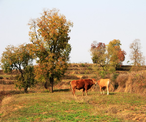 img_9952_СС.jpg
