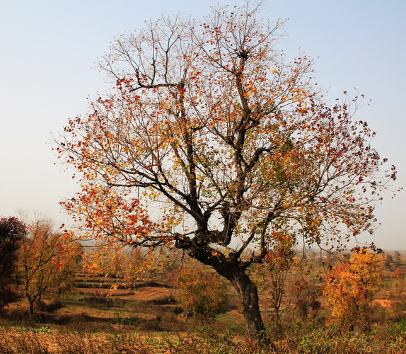 img_9988_СС.jpg