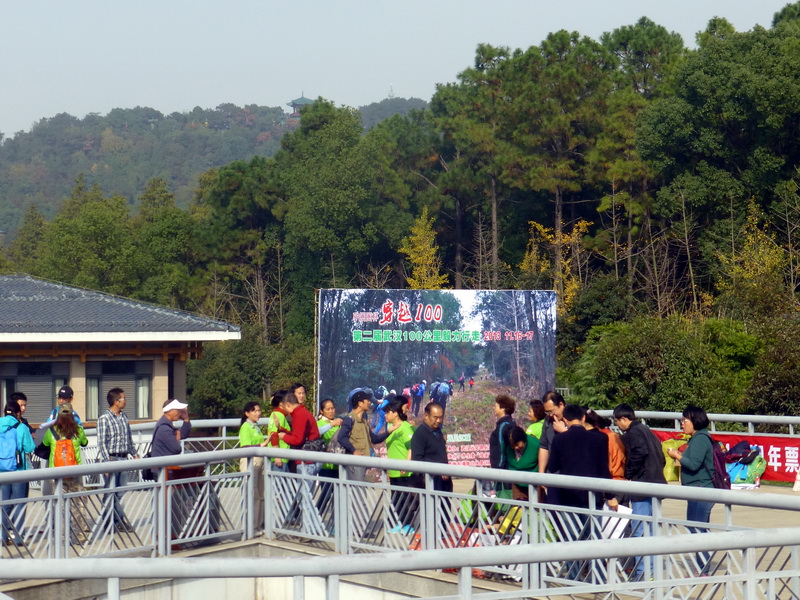 p1140456.jpg