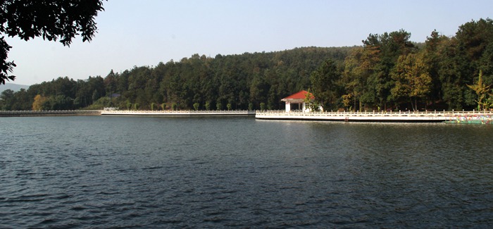 img_9305.jpg