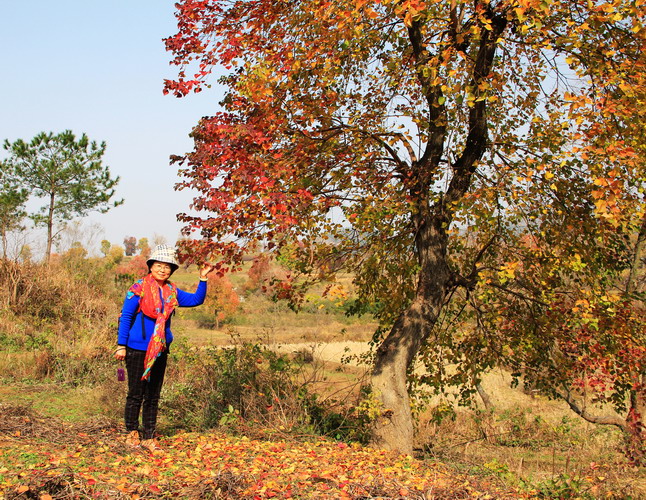 img_9904_СС.jpg