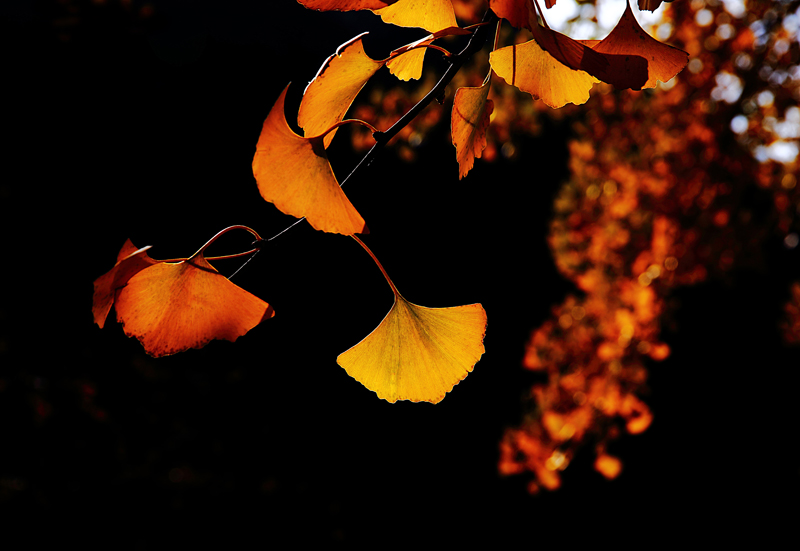 6u0b8803.jpg