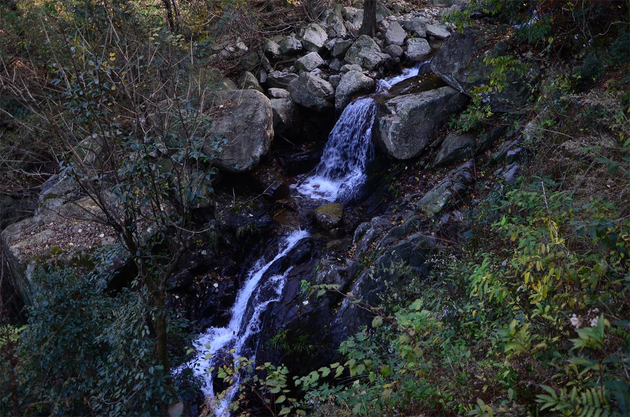 dsc_0029.jpg
