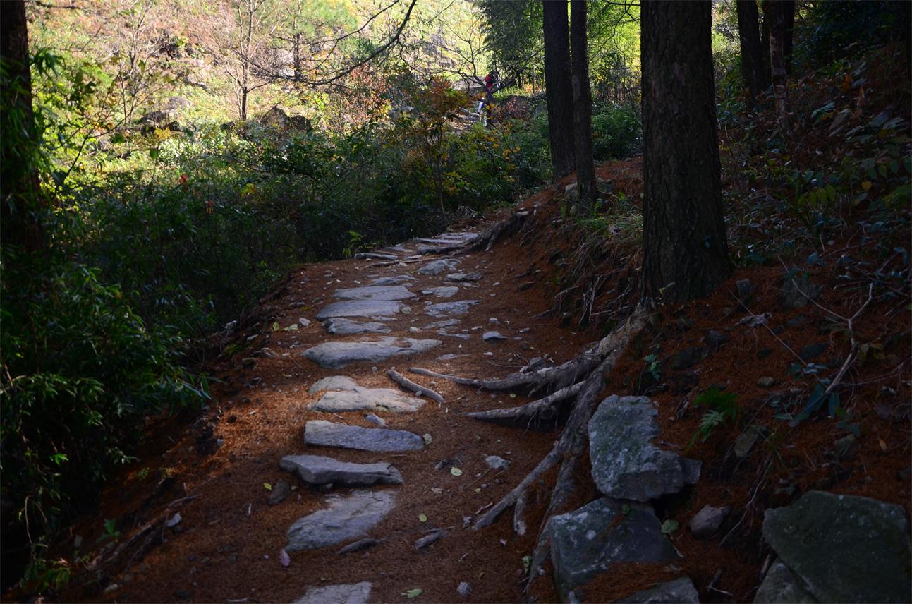 dsc_0030.jpg