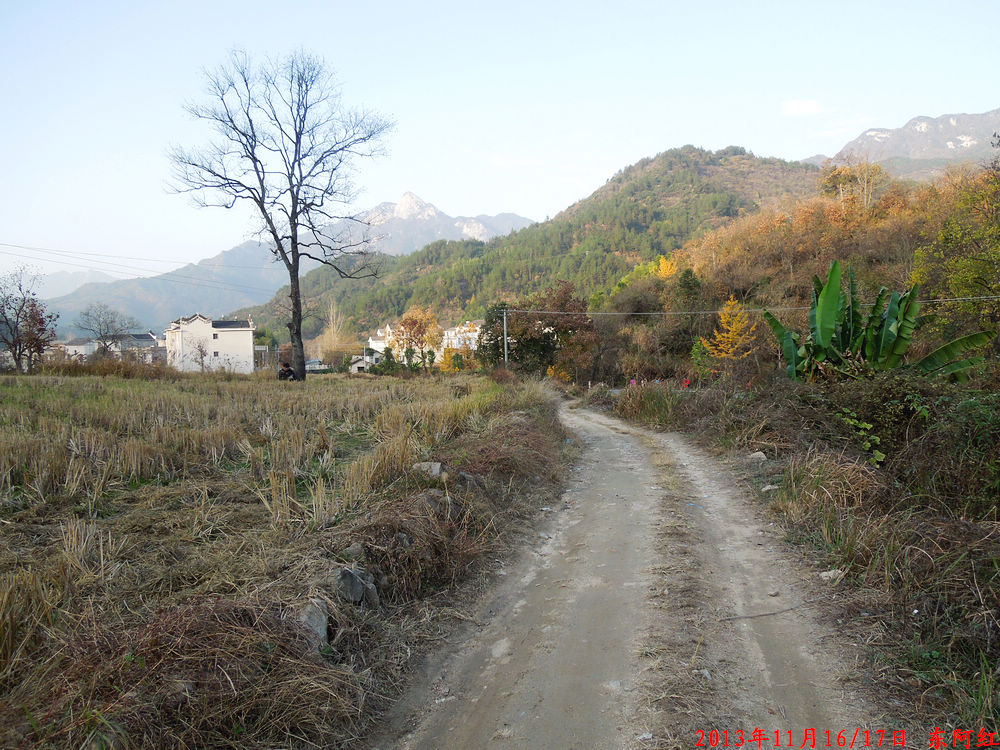 dscn1119.jpg