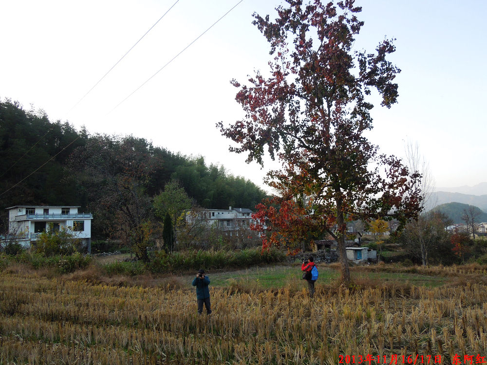 dscn1133.jpg