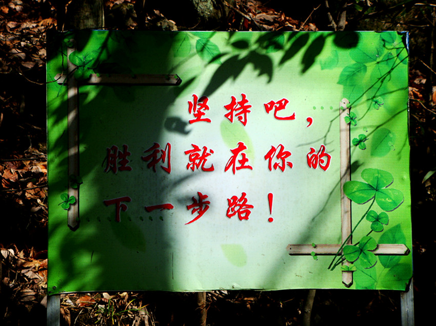 dsc02176_.jpg