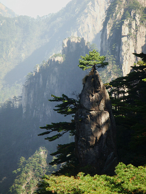 dsc02234_.jpg