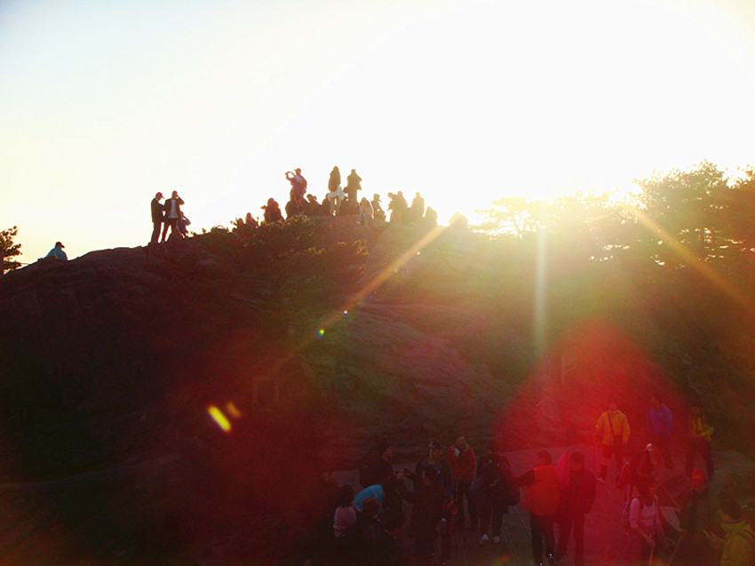 dsc02333_.jpg