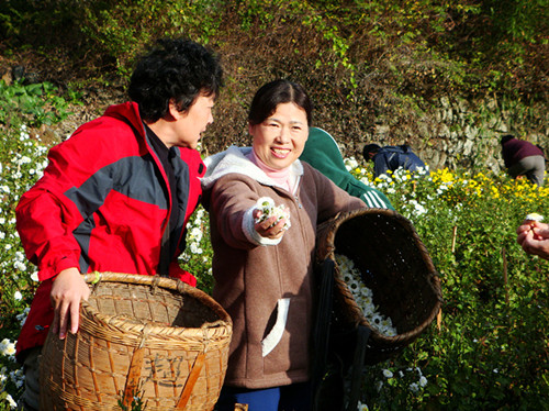 dsc02508__.jpg