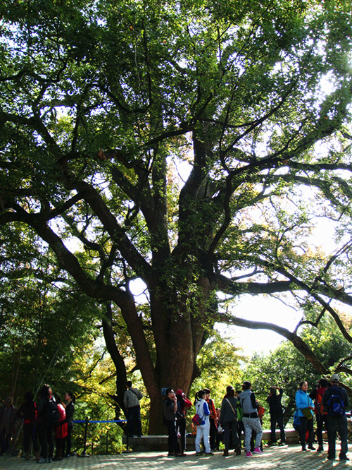 dsc02554_.jpg