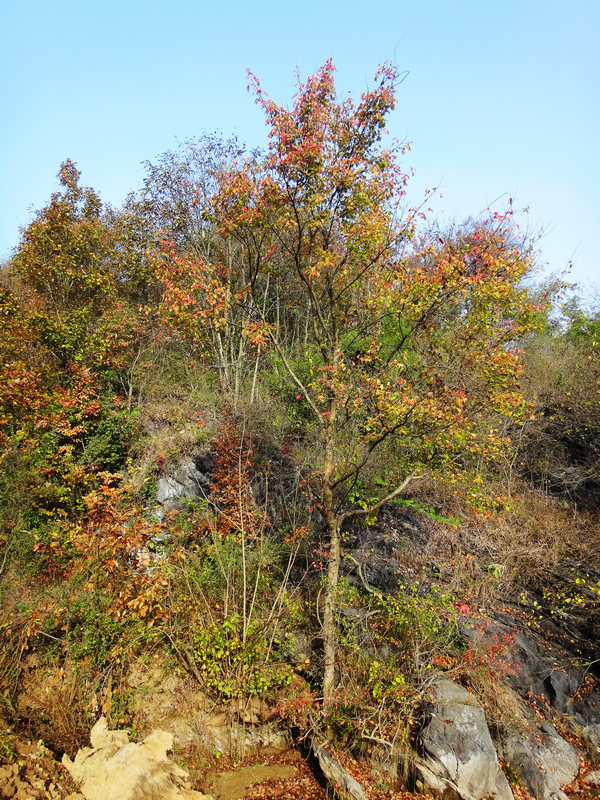 dsc04296.jpg