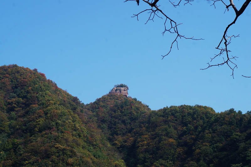 dsc02345.jpg