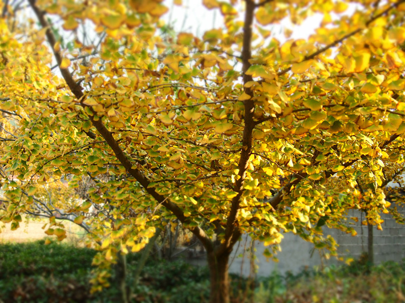 p1010275_.jpg