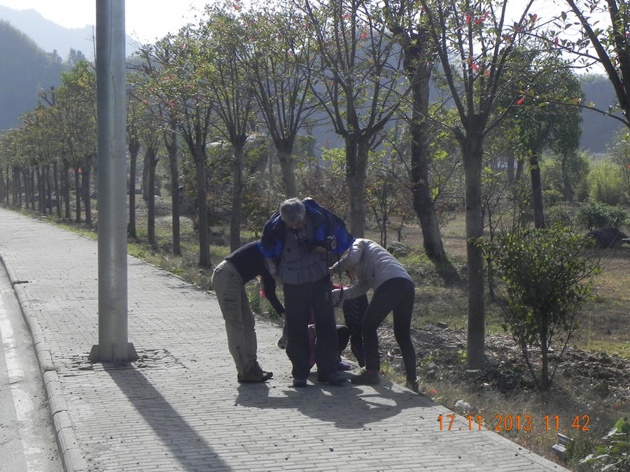 dscn6592.jpg