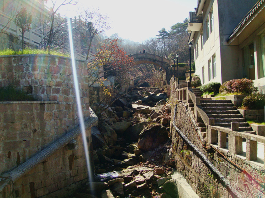 dsc02275_.jpg
