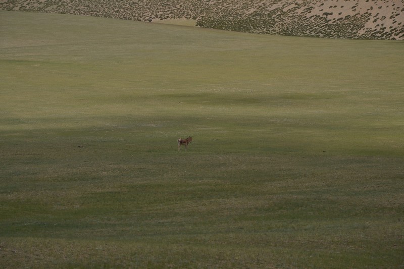 2013.7.9֮2147.jpg