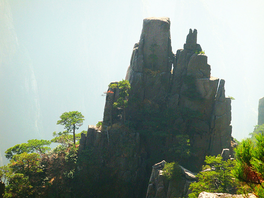 dsc02295_.jpg