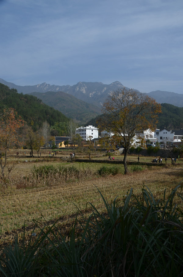 dsc_0110.jpg