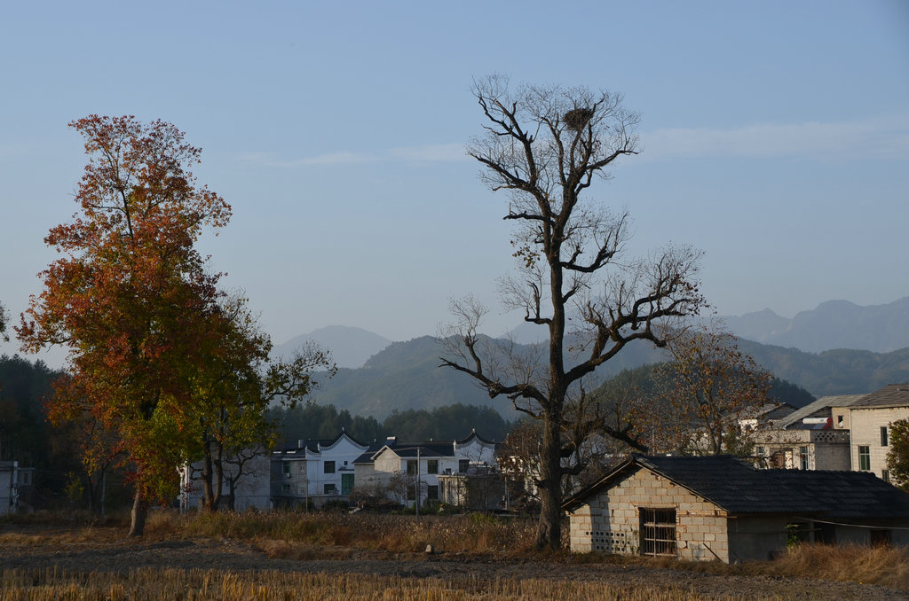 dsc_0349.jpg