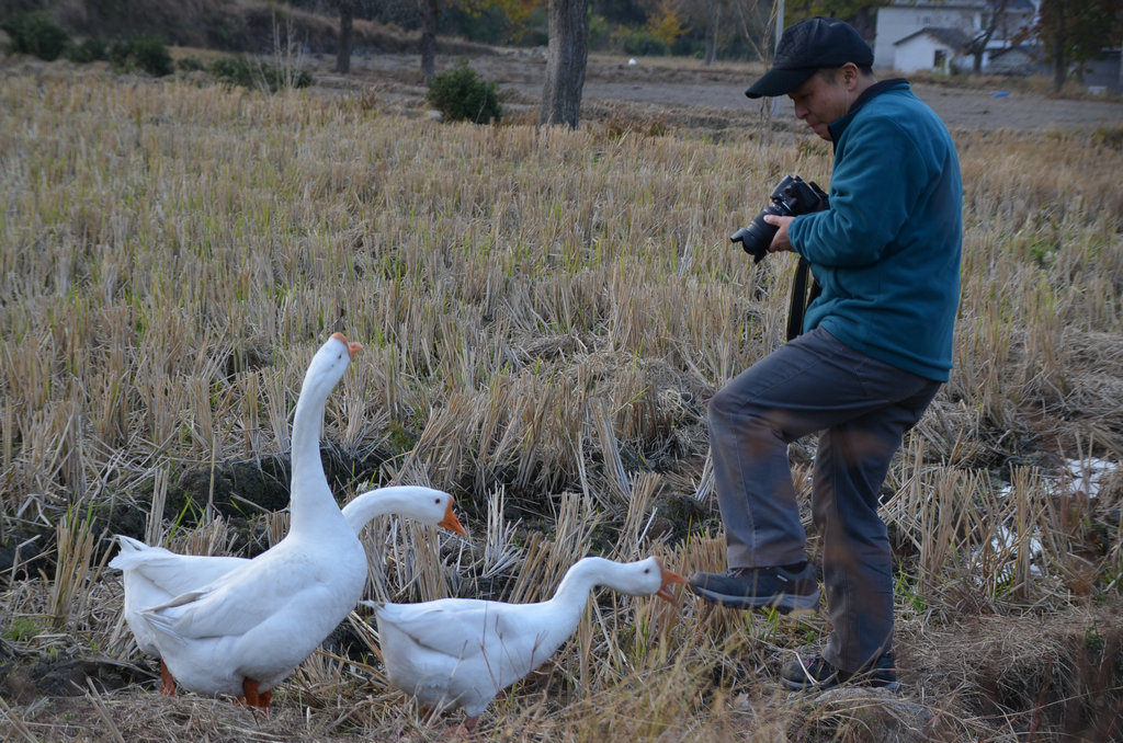 dsc_0395.jpg