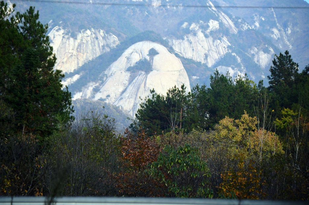 dsc_0417.jpg