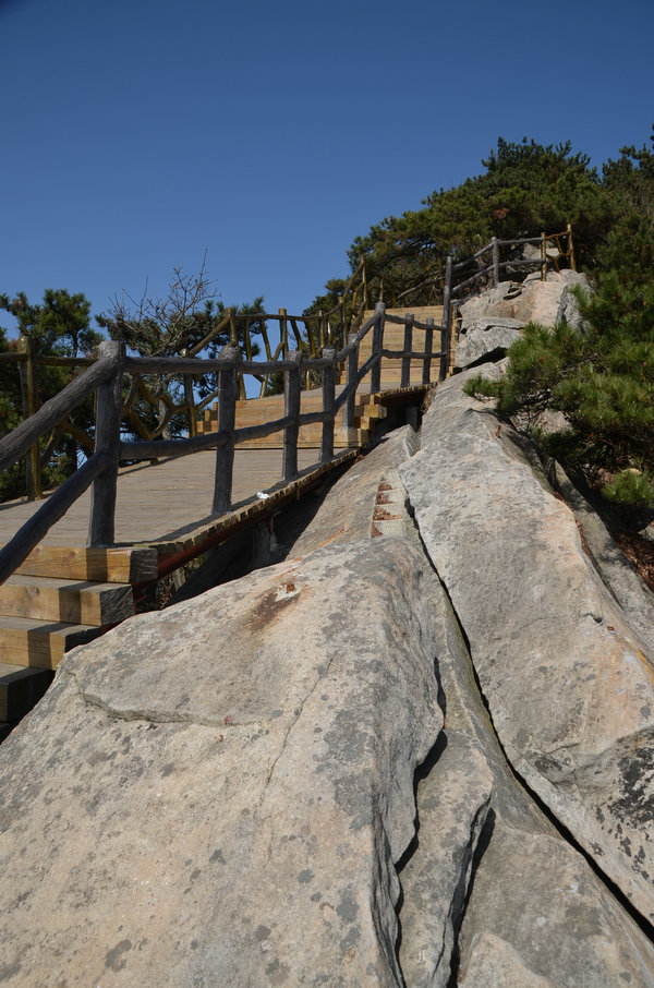 dsc_0939.jpg