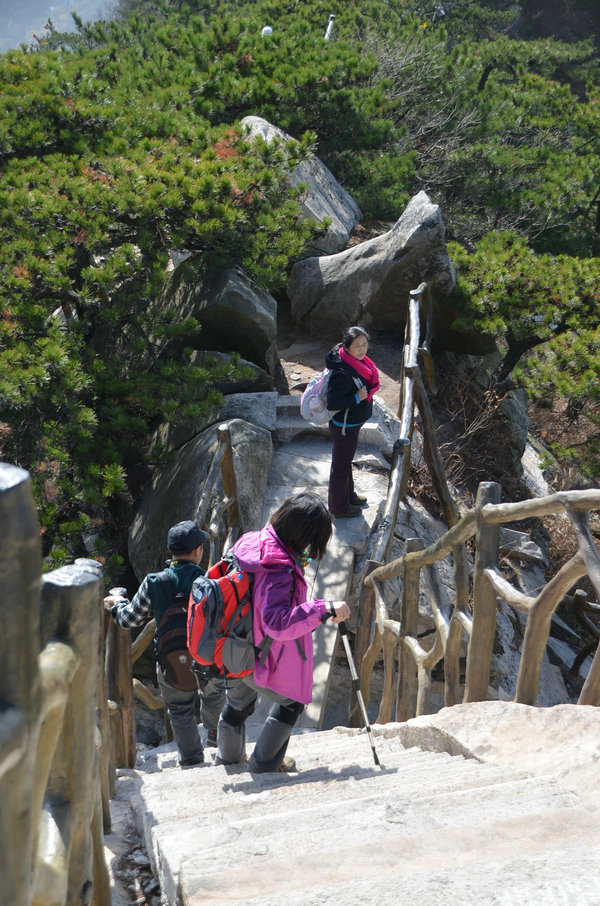 dsc_0949.jpg