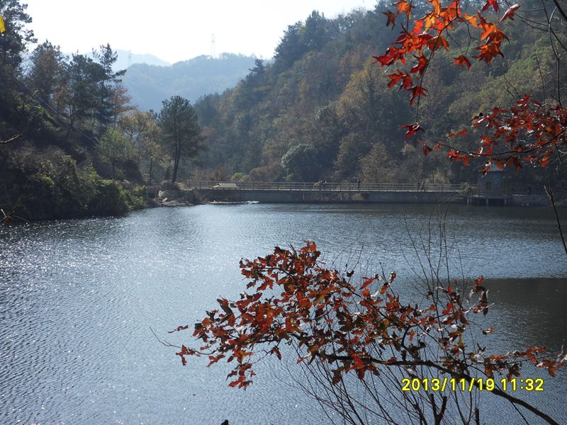 sdc14013.jpg