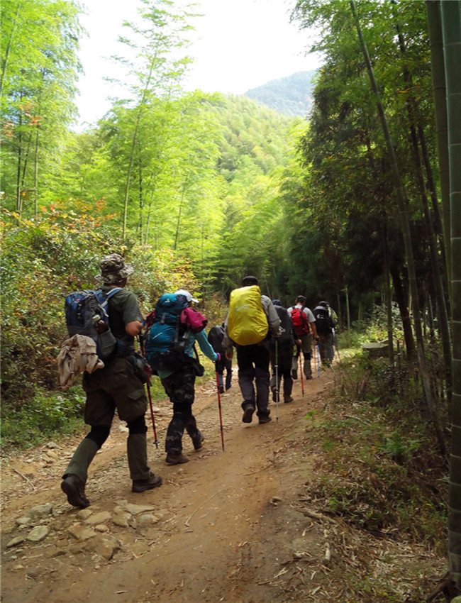 img20131108104537.jpg