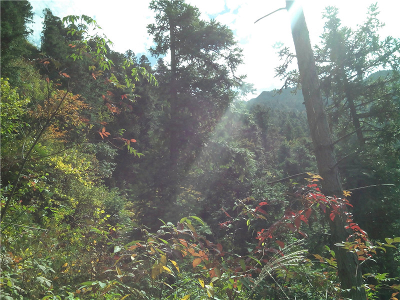 img20131108115443.jpg