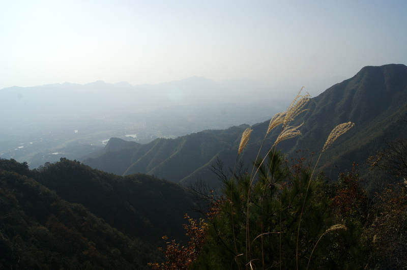 dsc05164.jpg