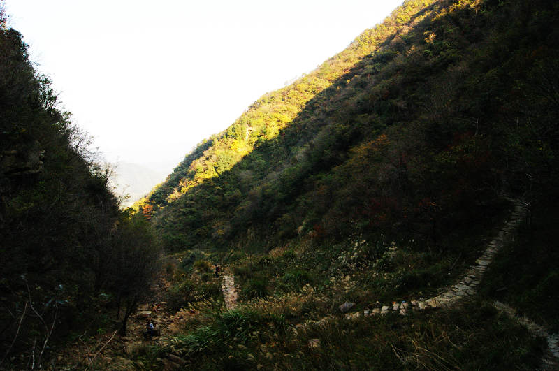 dsc05263.jpg