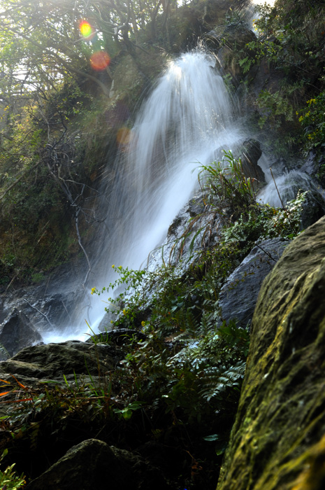 _dsc3311.jpg