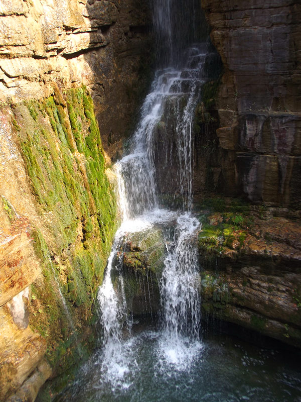 dscf5072_.jpg